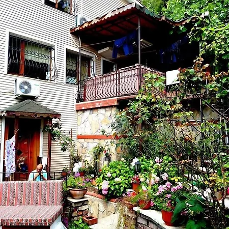 Cemed House 호텔