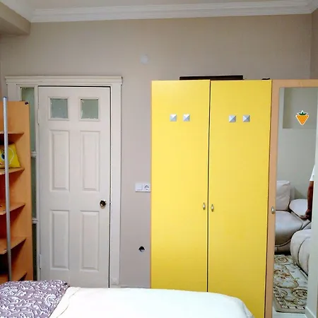 Cemed House 2* Provincia di Istanbul