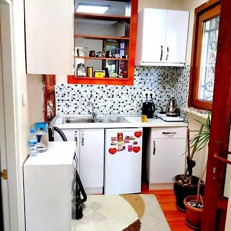 Cemed House מלון