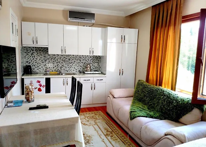 Hotel Cemed House 2*